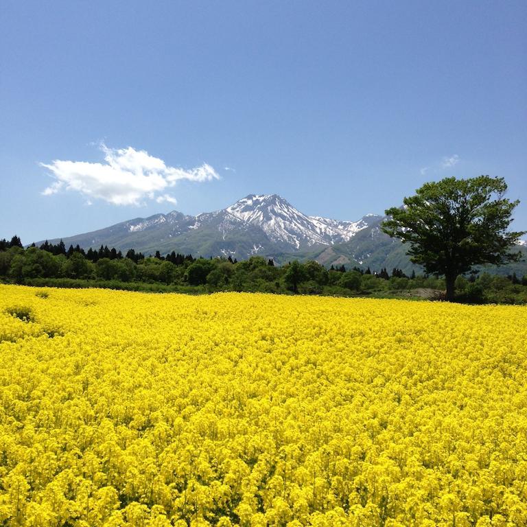 Hotel Alpen Blick Myoko Exteriér fotografie